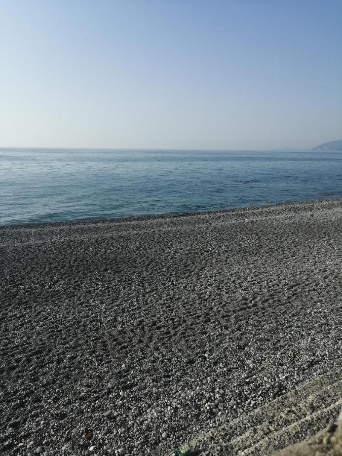 Bon Amour Gagra Exterior foto